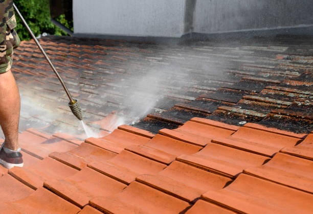 Best Best Pressure Washing Companies  in Chipley, FL