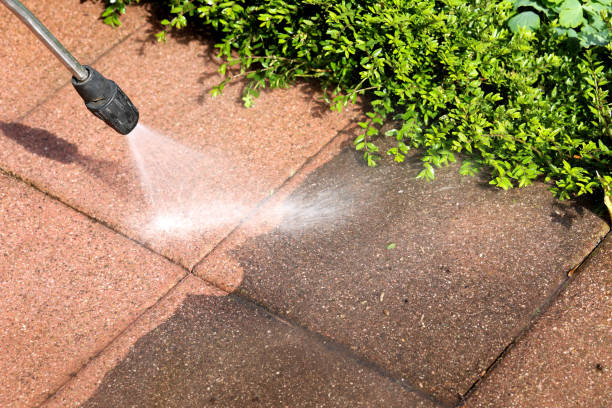 Best Commercial Building Pressure Washing  in Chipley, FL